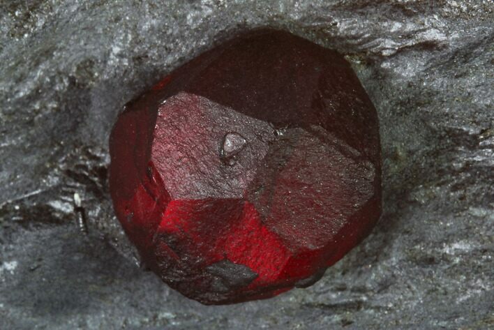 Large, Wide Red Embers Garnet in Graphite - Massachusetts #165520